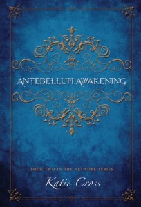 Antebellum Awakening cover